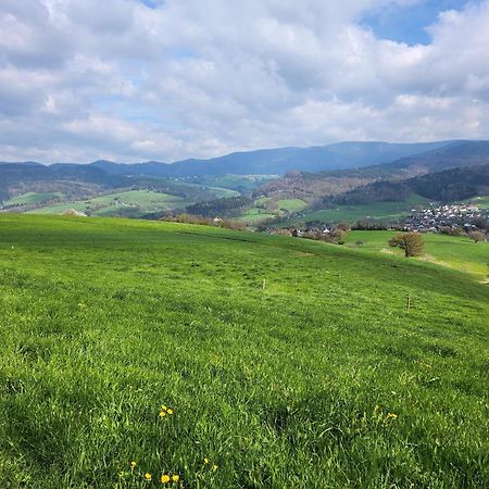 Ferienwohnung Herzlicht Titisee-Neustadt Bagian luar foto