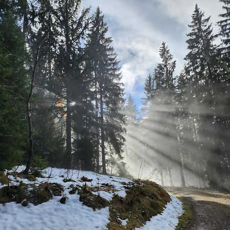 Ferienwohnung Herzlicht Titisee-Neustadt Bagian luar foto