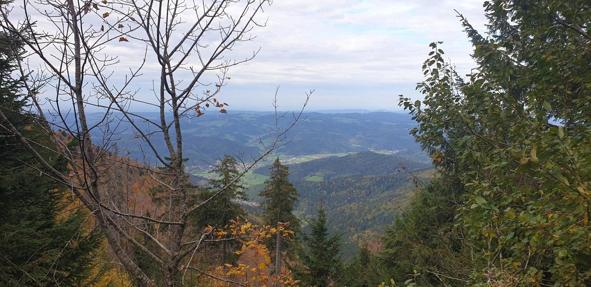 Ferienwohnung Herzlicht Titisee-Neustadt Bagian luar foto
