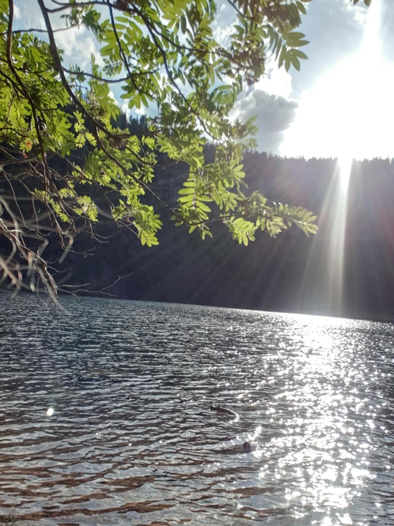 Ferienwohnung Herzlicht Titisee-Neustadt Bagian luar foto