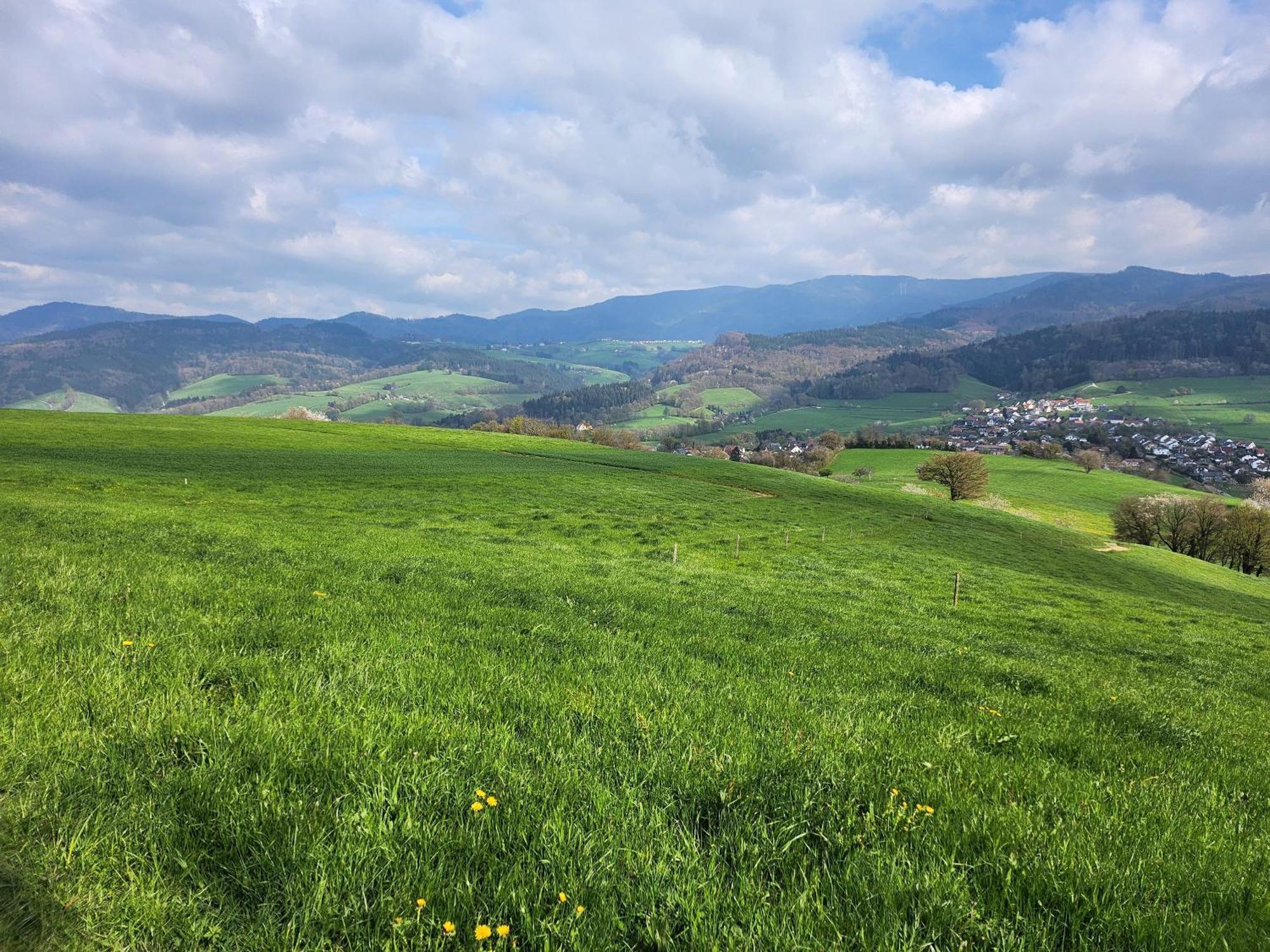 Ferienwohnung Herzlicht Titisee-Neustadt Bagian luar foto