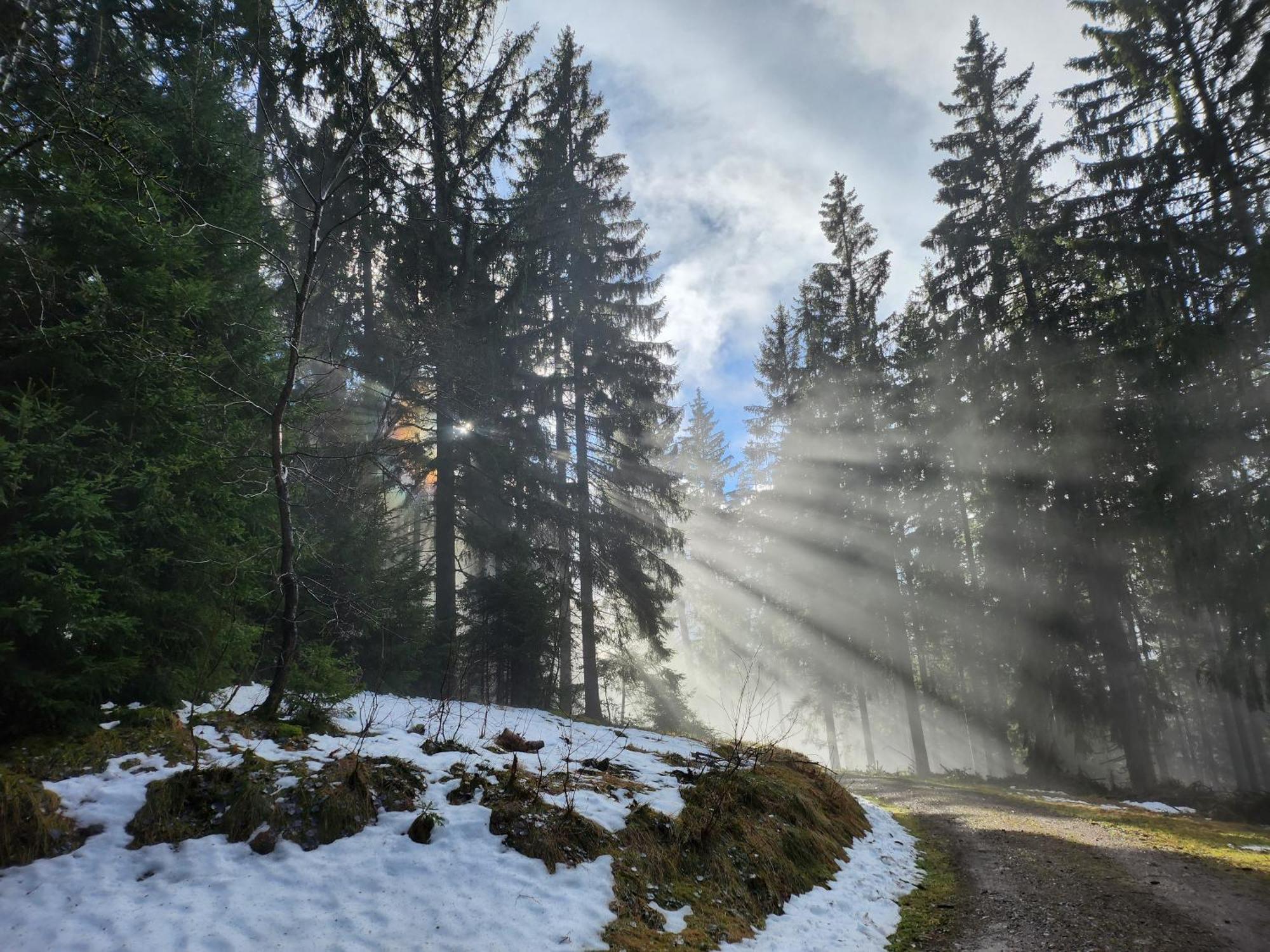 Ferienwohnung Herzlicht Titisee-Neustadt Bagian luar foto