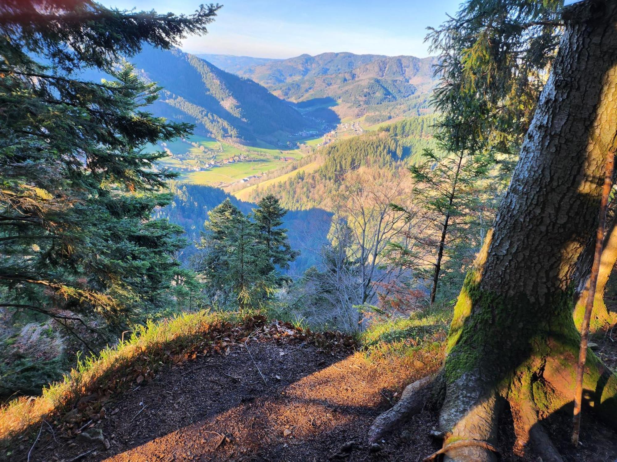 Ferienwohnung Herzlicht Titisee-Neustadt Bagian luar foto